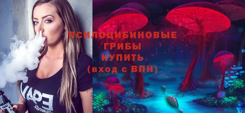 наркошоп  Вихоревка  Псилоцибиновые грибы Magic Shrooms 