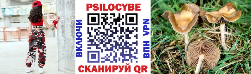 ОМГ ОМГ онион  купить  сайты  Вихоревка  Галлюциногенные грибы Magic Shrooms 